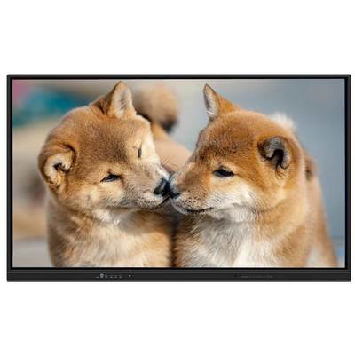 स्कूलों और कार्यालयों के लिए एंड्रॉयड 15 और वाईफाई 6 के साथ 75 इंच इंटरैक्टिव फ्लैट पैनल स्मार्ट बोर्ड