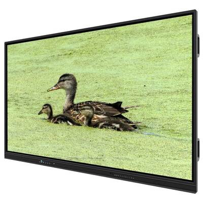 75 इंच सभी एक में इंटरैक्टिव व्हाइटबोर्ड स्कूल कार्यालय सम्मेलन के लिए स्मार्ट बोर्ड