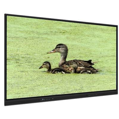 शिक्षण और सभाओं के लिए 8+128G स्टोरेज और इन्फ्रारेड टच के साथ 65 इंच ऑल इन वन इंटरैक्टिव व्हाइटबोर्ड